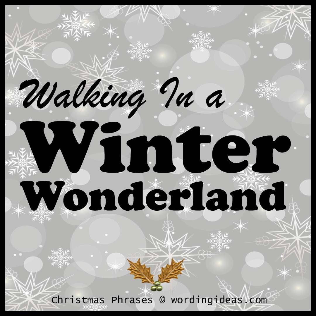 Walking-in-a-Winter-Wonderland